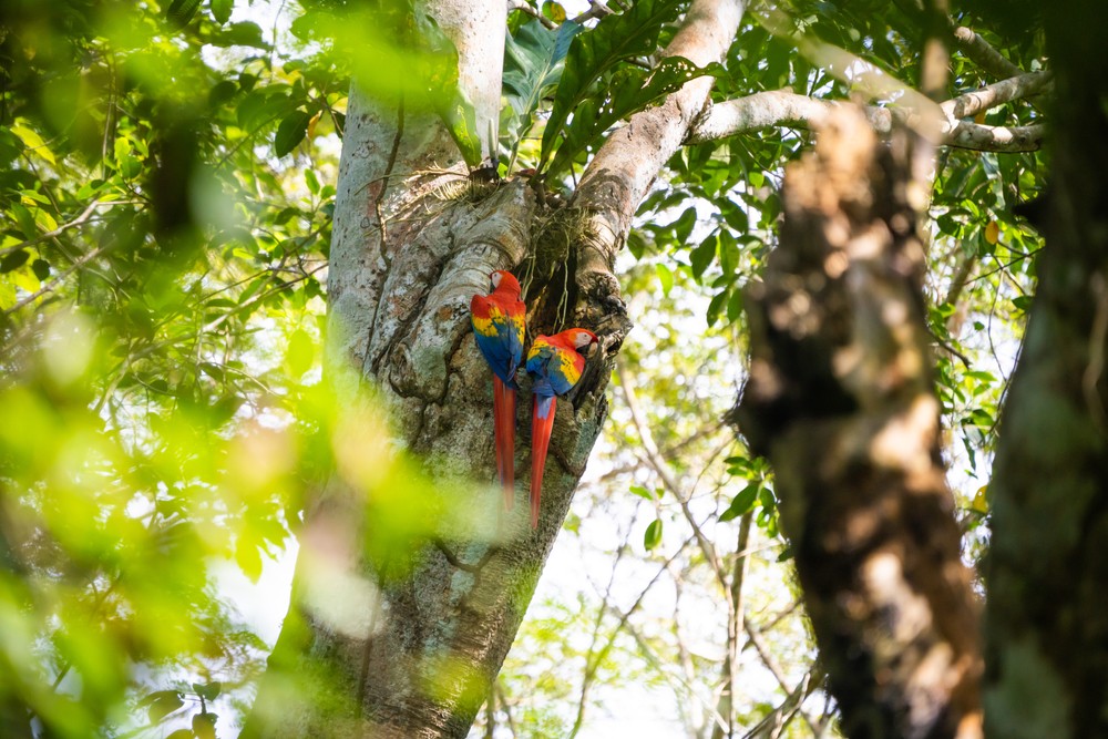 A Breakdown of Costa Rica’s Seasons (& When to Visit)