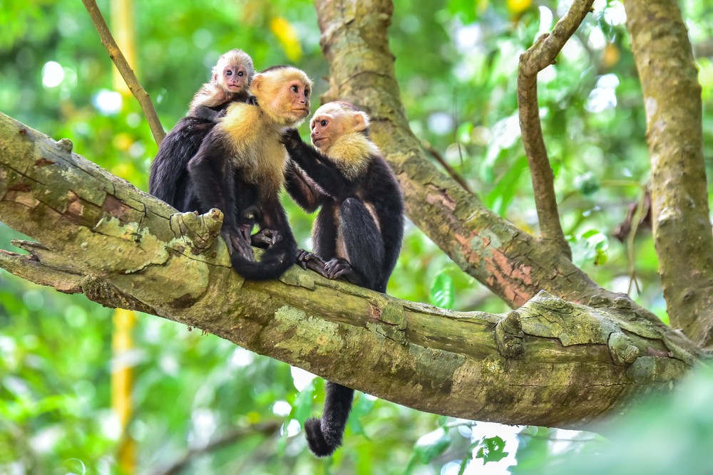 A Breakdown of Costa Rica’s Seasons (& When to Visit)