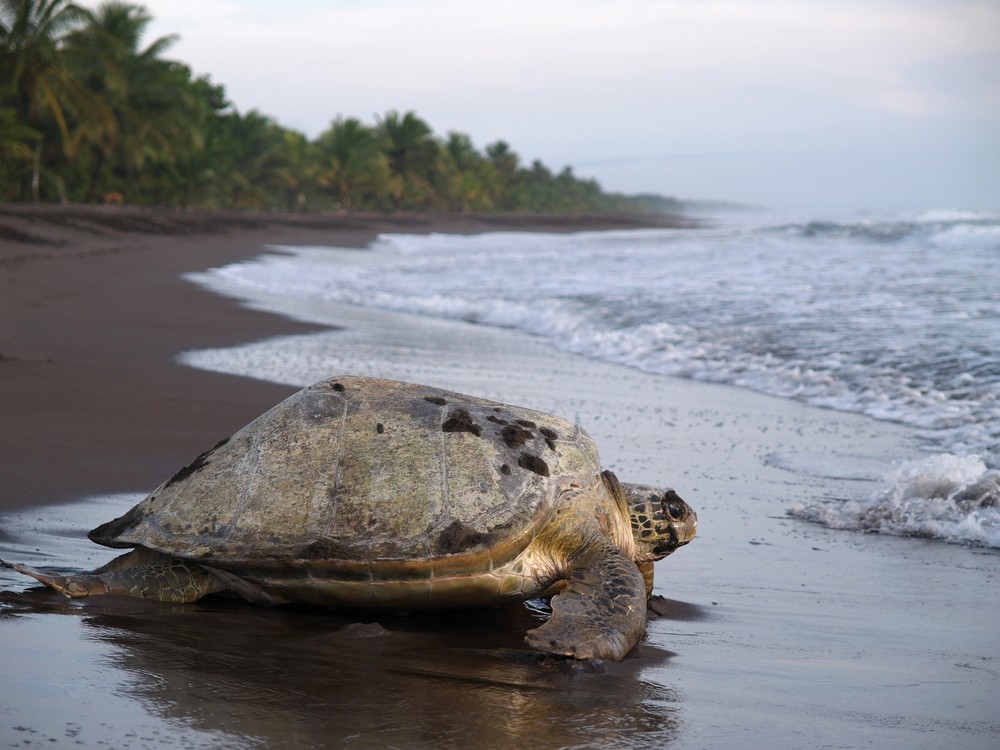 A Breakdown of Costa Rica’s Seasons (& When to Visit)